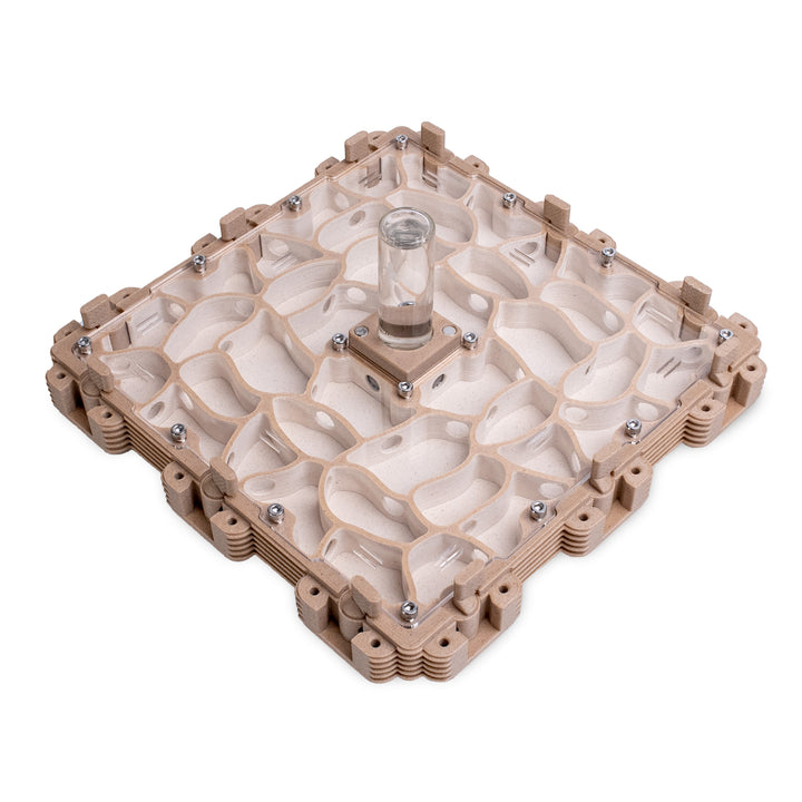 Module Fourmilière 3:3