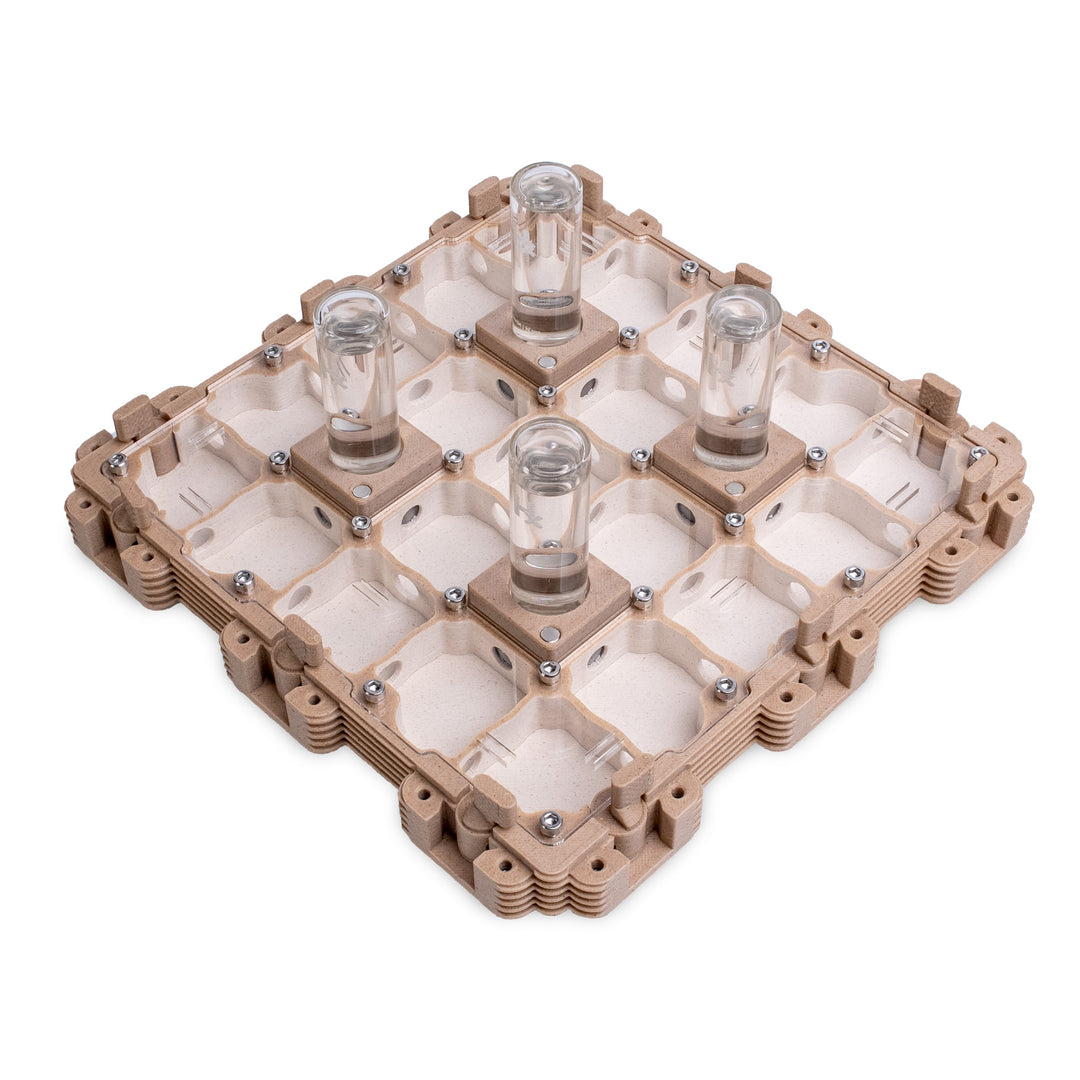 Module Fourmilière 3:3