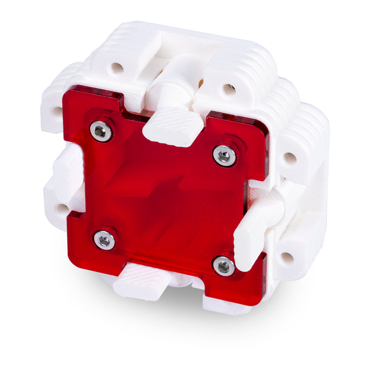 Module De Fourmilière Verticale 1:1