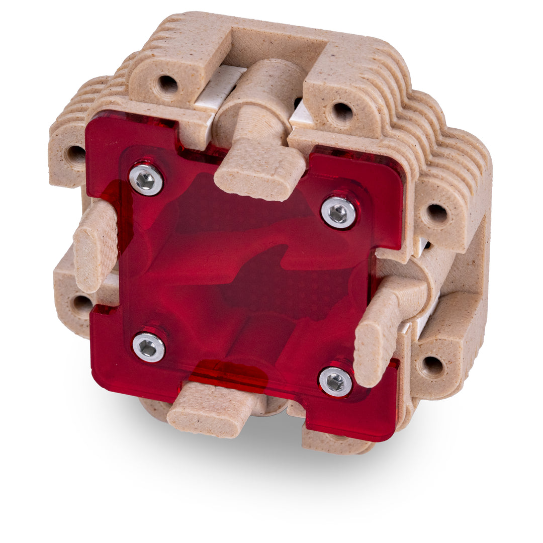 Module De Fourmilière Verticale 1:1