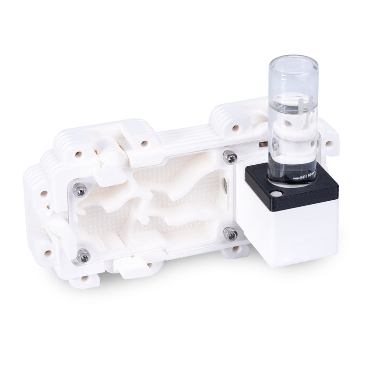 Module De Fourmilière Verticale 2:1