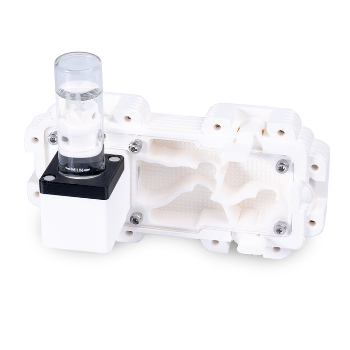 Module De Fourmilière Verticale 2:1