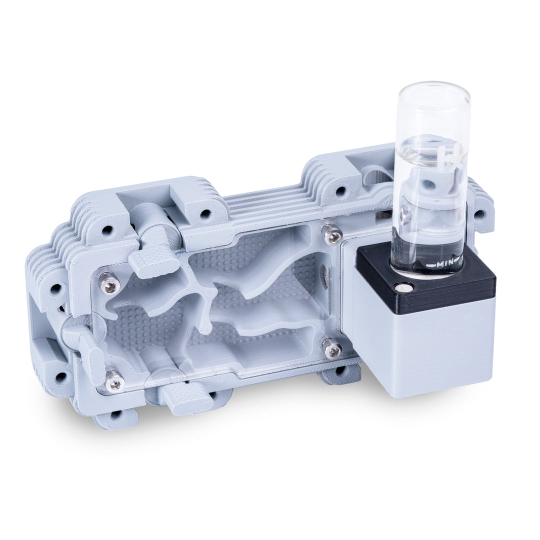 Module De Fourmilière Verticale 2:1
