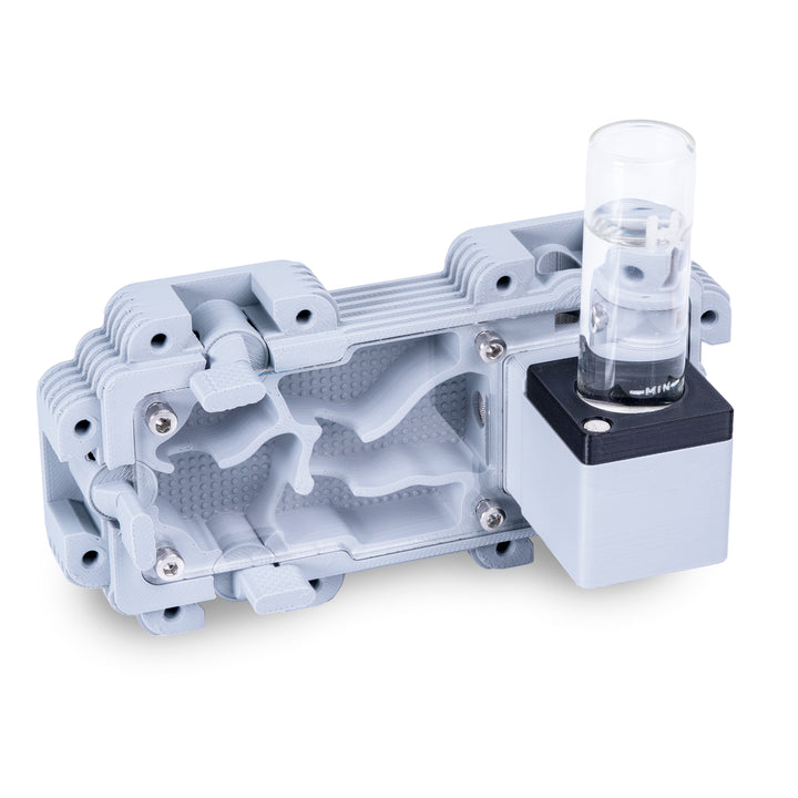 Module De Fourmilière Verticale 2:1