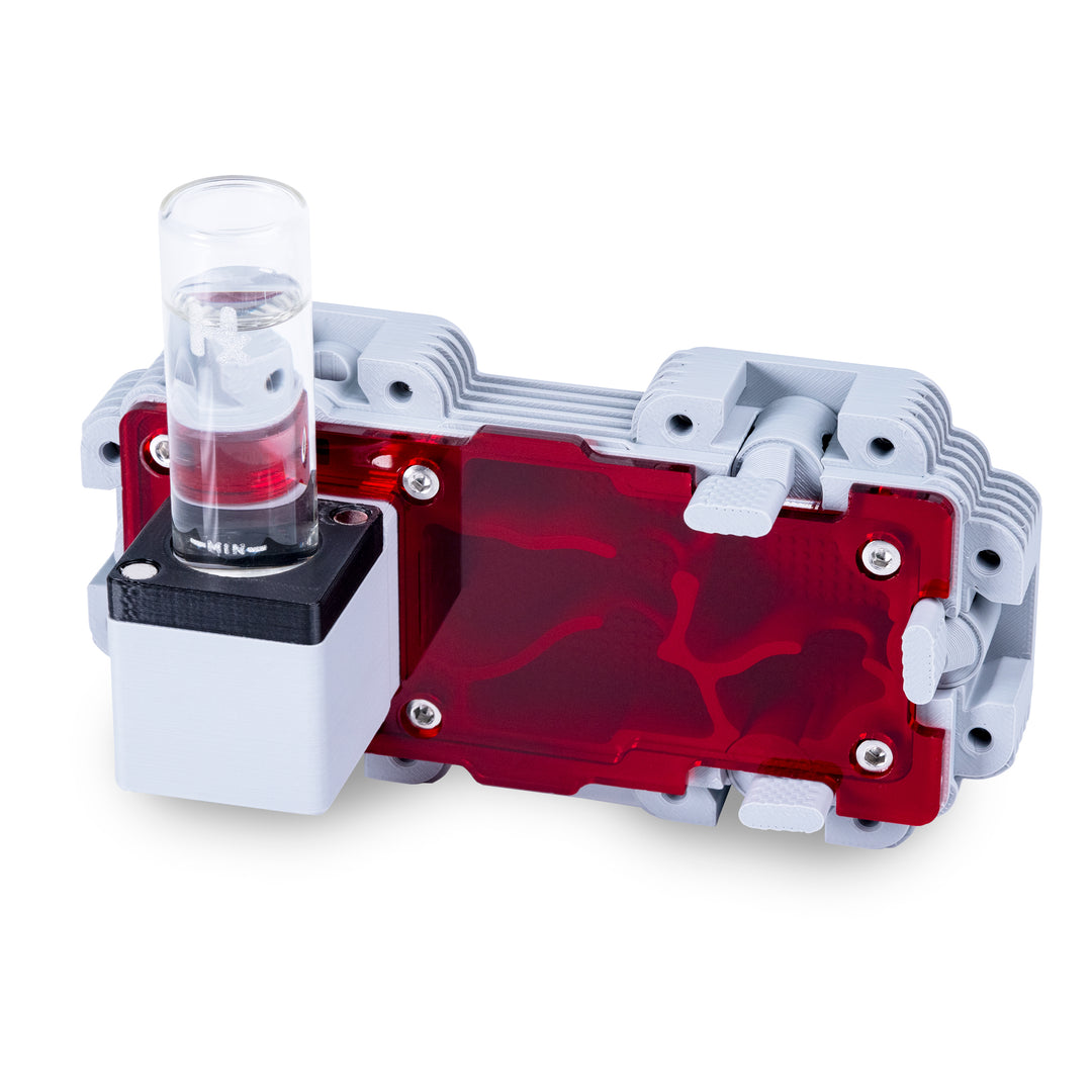 Module De Fourmilière Verticale 2:1