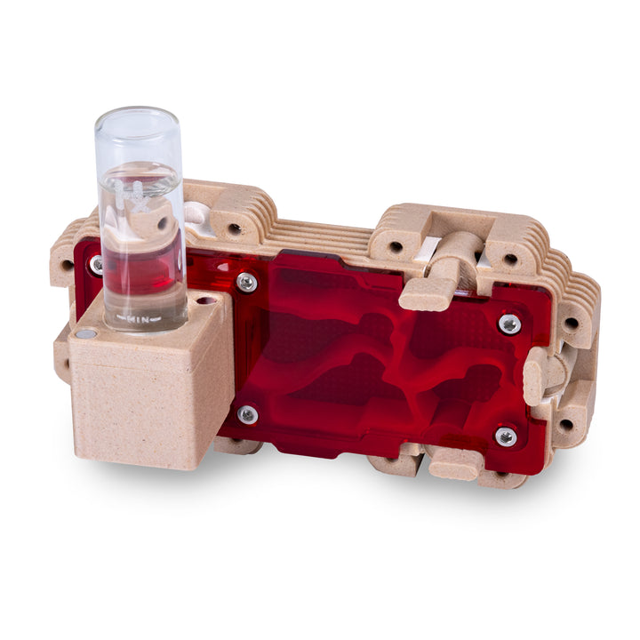 Module De Fourmilière Verticale 2:1