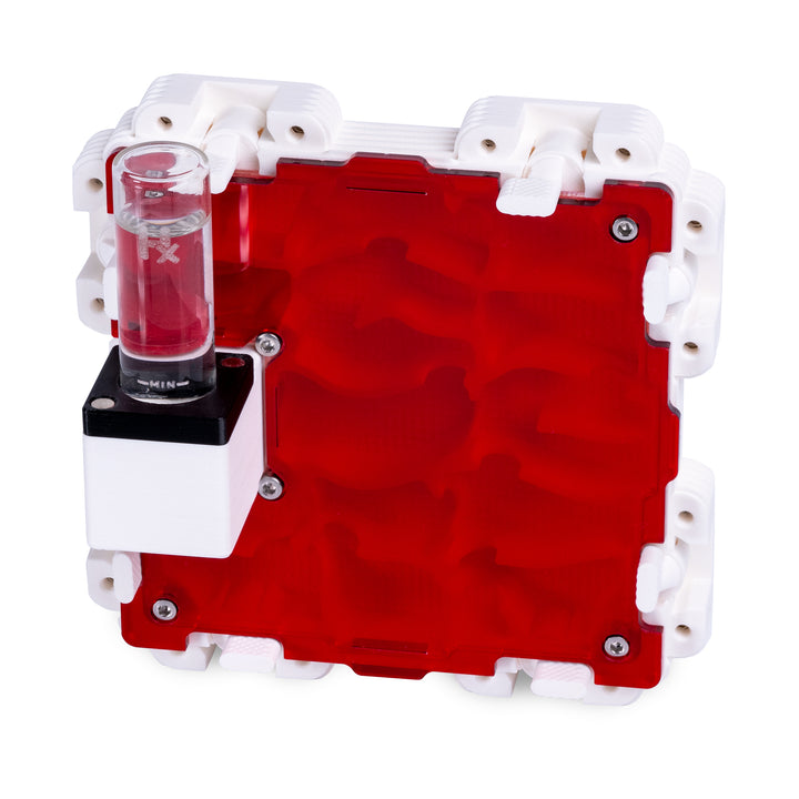 Module De Fourmilière Verticale 2:2