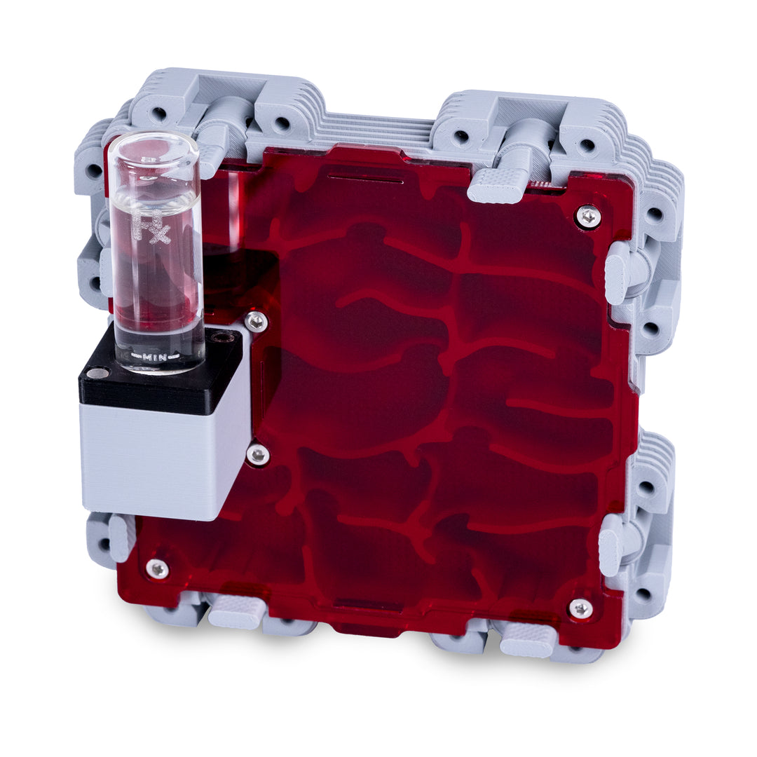 Module De Fourmilière Verticale 2:2