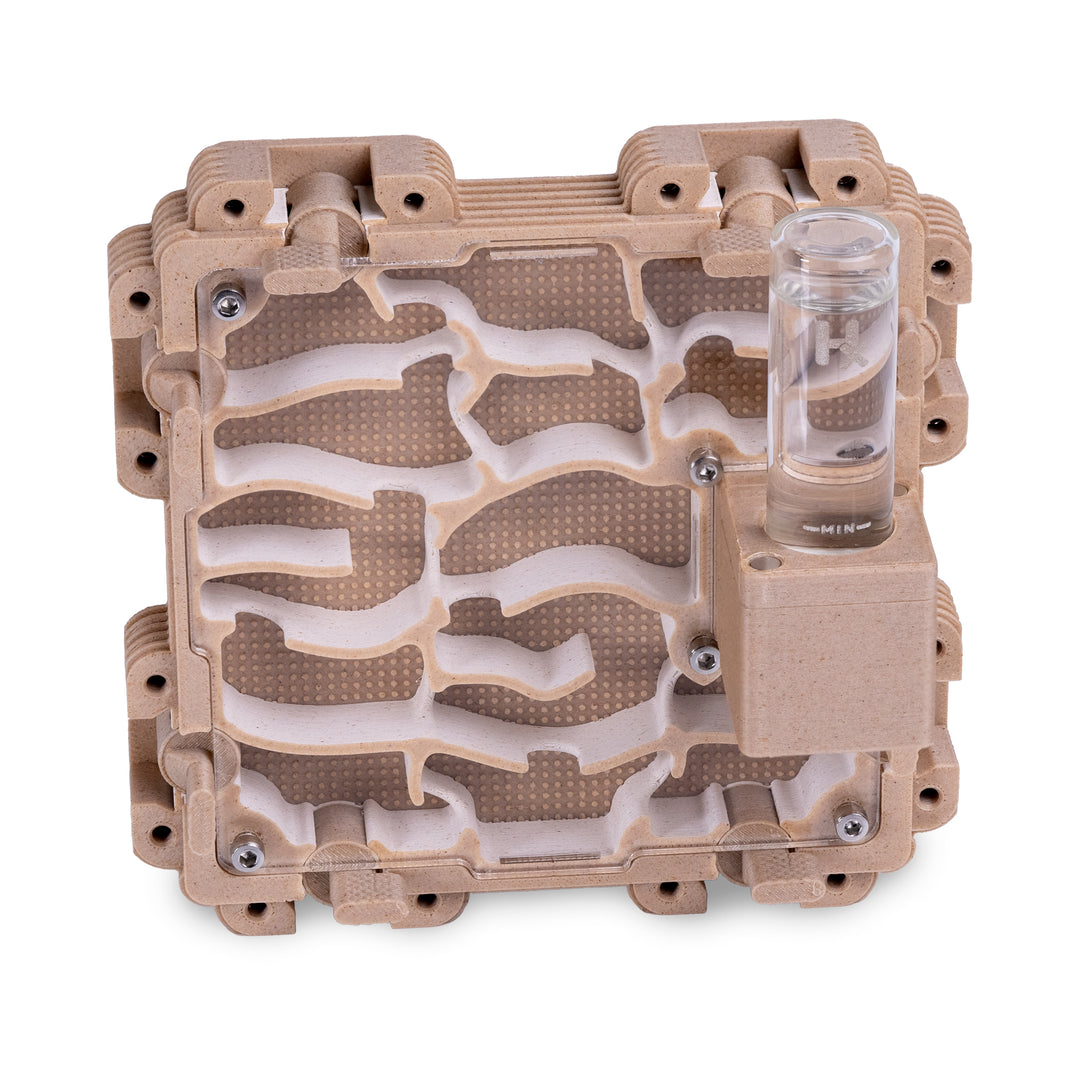 Module De Fourmilière Verticale 2:2