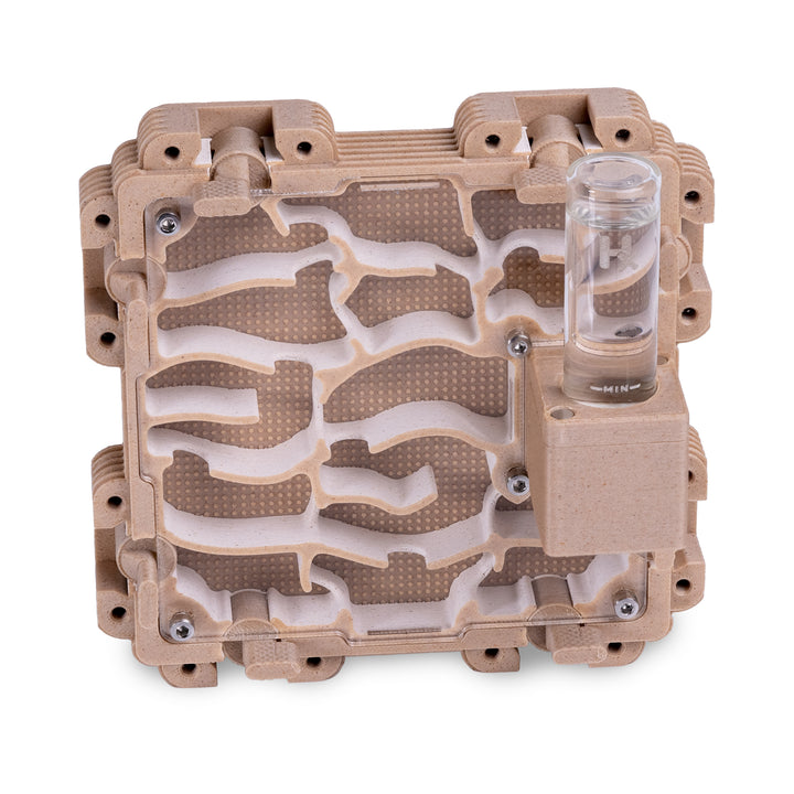 Module De Fourmilière Verticale 2:2