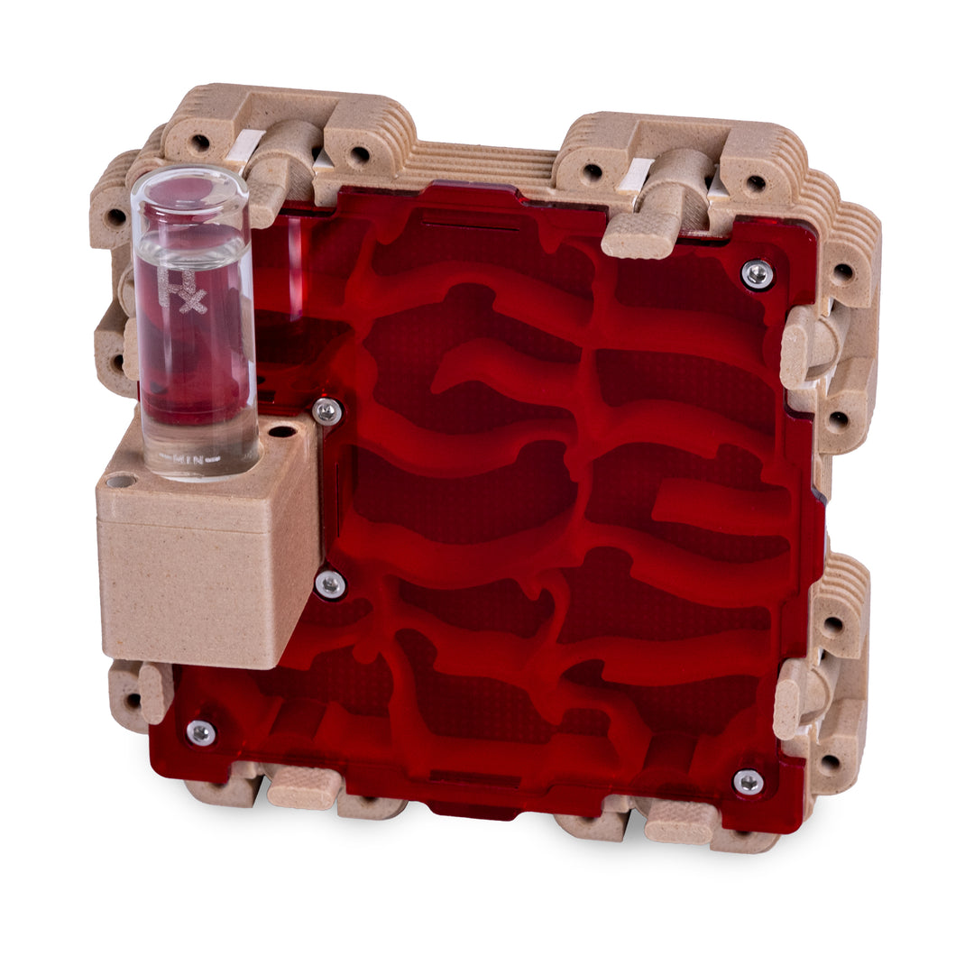 Module De Fourmilière Verticale 2:2