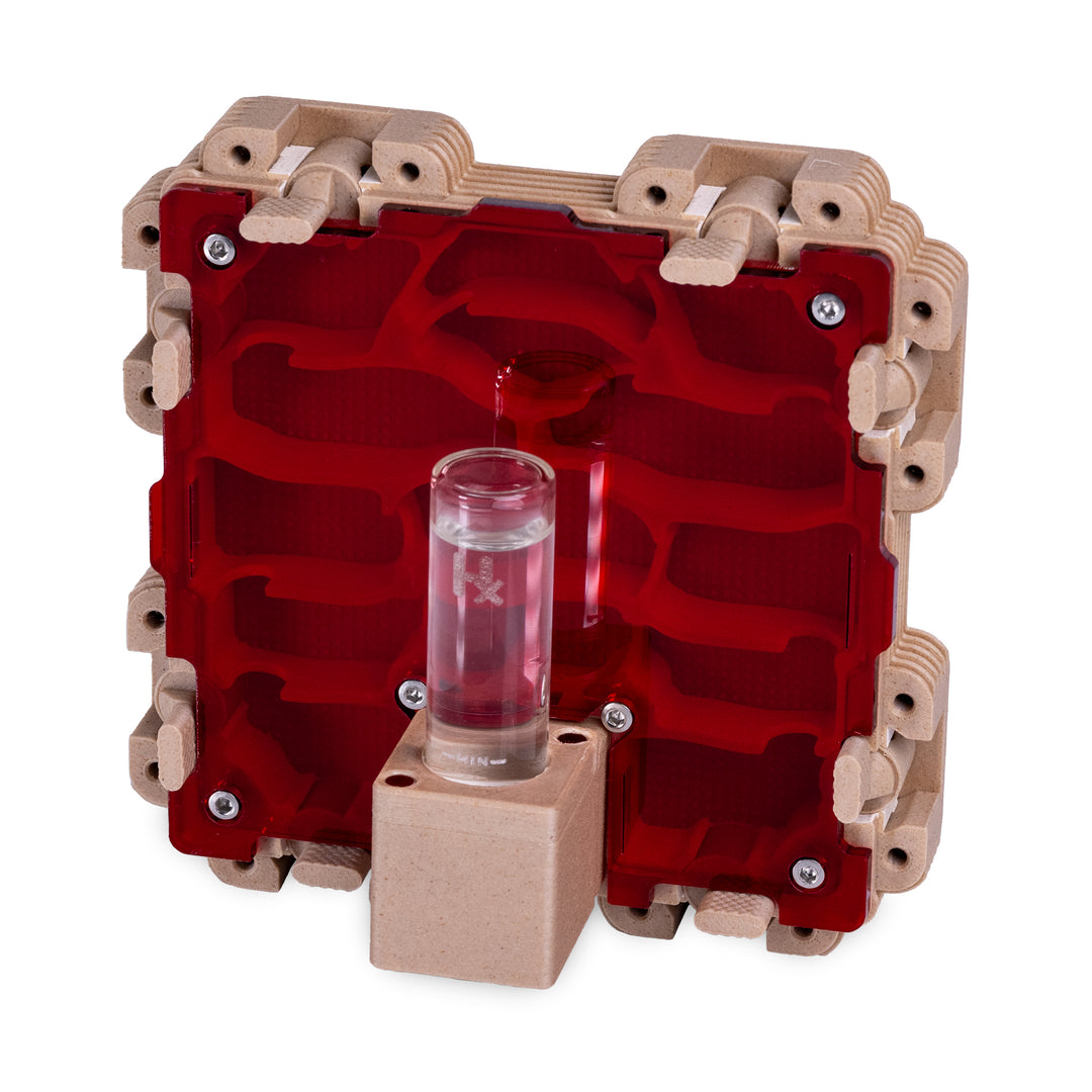 Module De Fourmilière Verticale 2:2