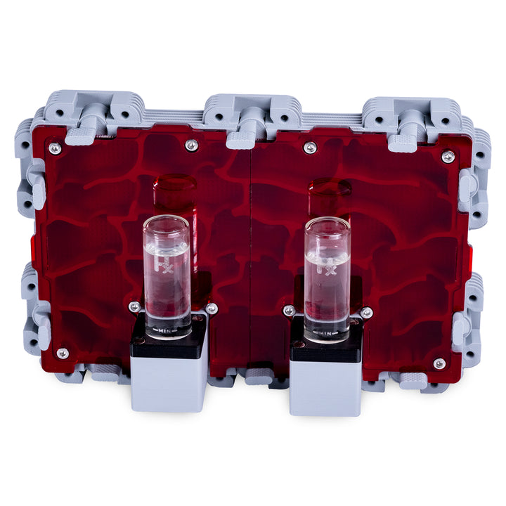 Module De Fourmilière Verticale 3:2