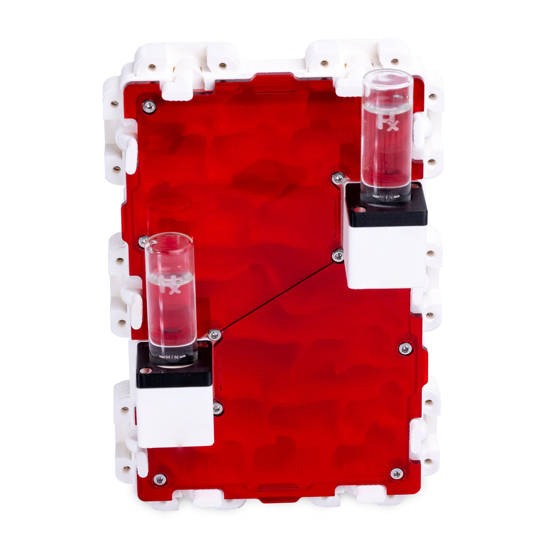 Module De Fourmilière Verticale 3:2