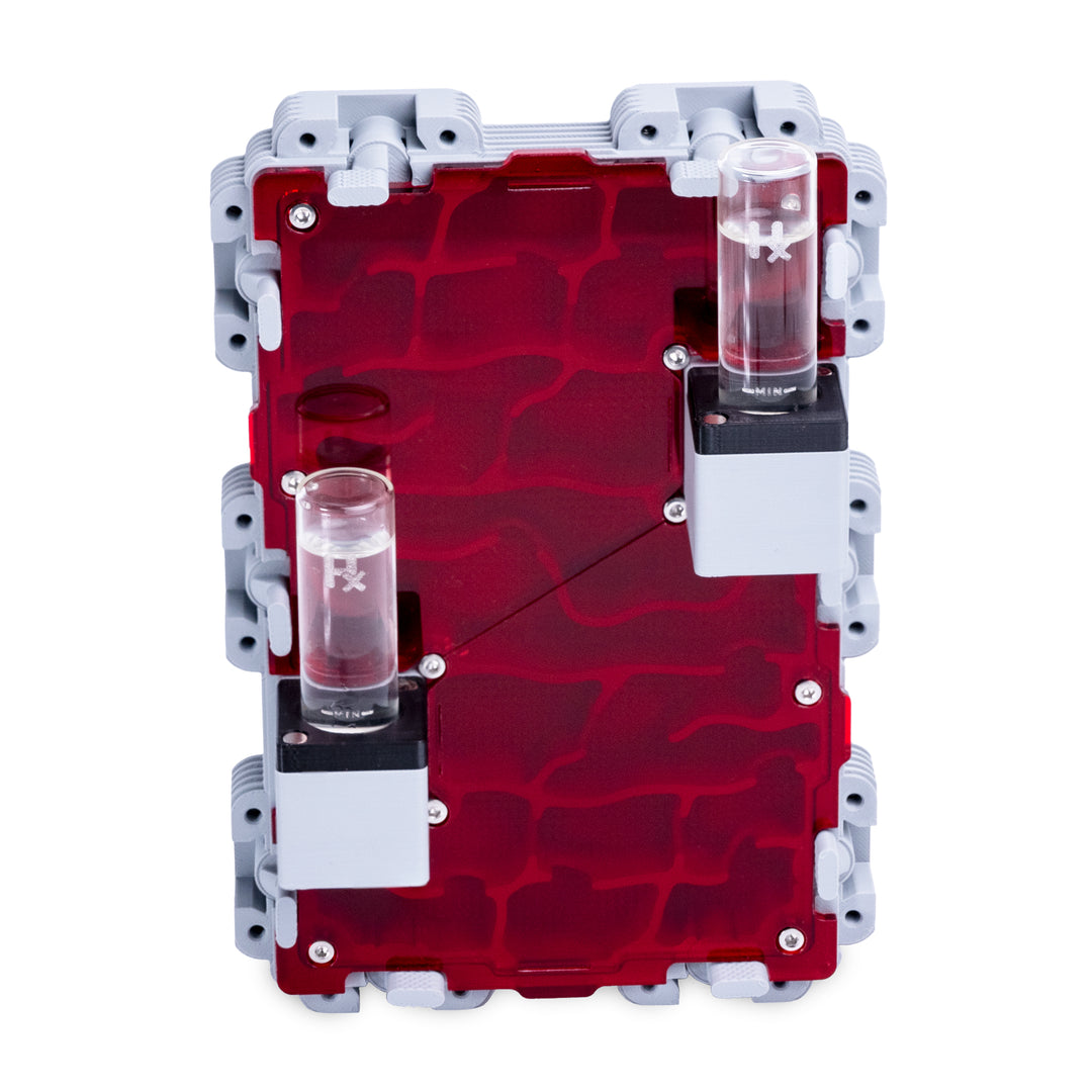 Module De Fourmilière Verticale 3:2