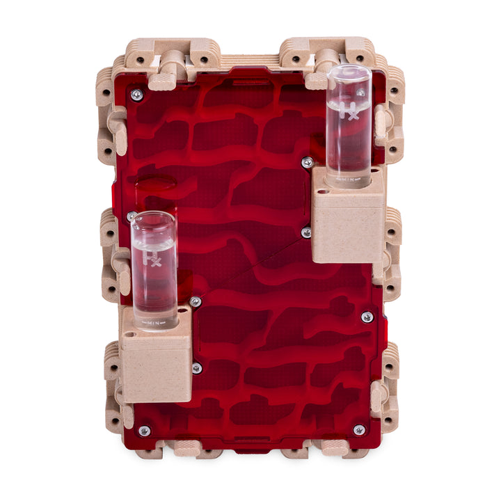 Module De Fourmilière Verticale 3:2