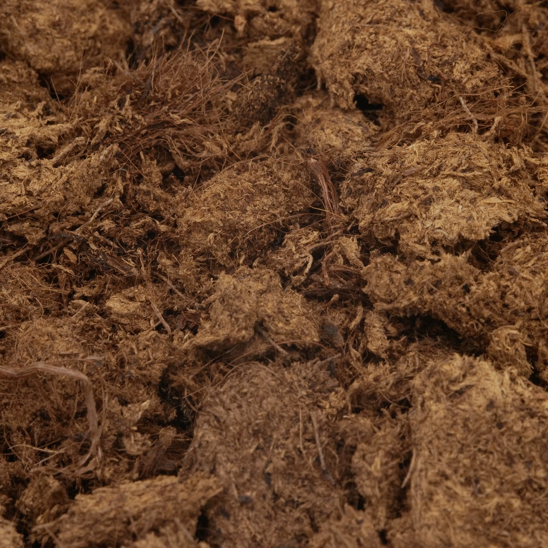 100 % natürlicher blonder Torf | Ideal für Terrarien und Pflanzen | Optimale Feuchtigkeitsspeicherung und Leichtigkeit | Biologisch abbaubar und ökologisch