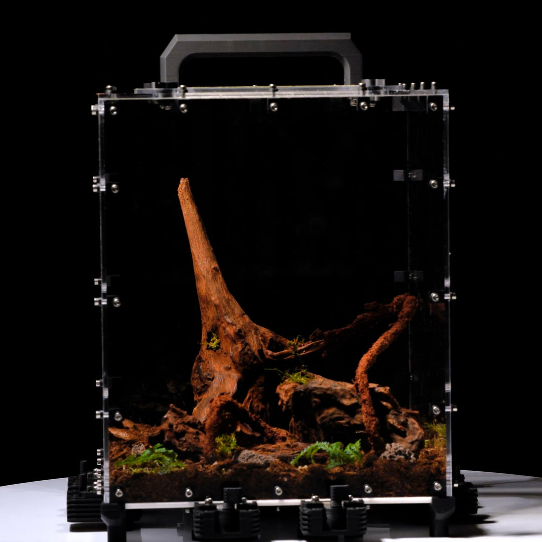 Forrajeos MK2 Natura