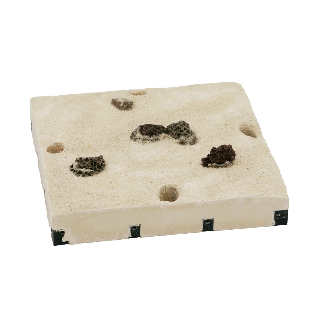 MK2 Natura Base 1:1