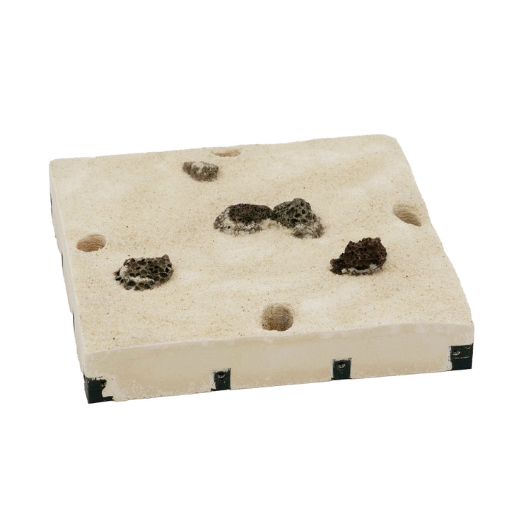 MK2 Natura Base 1:1