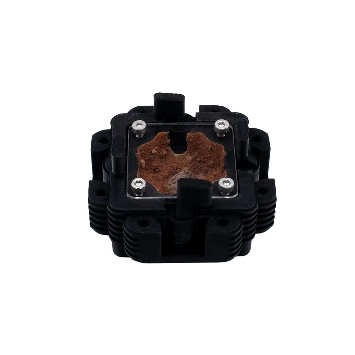 Natura Formigueiro 1:1