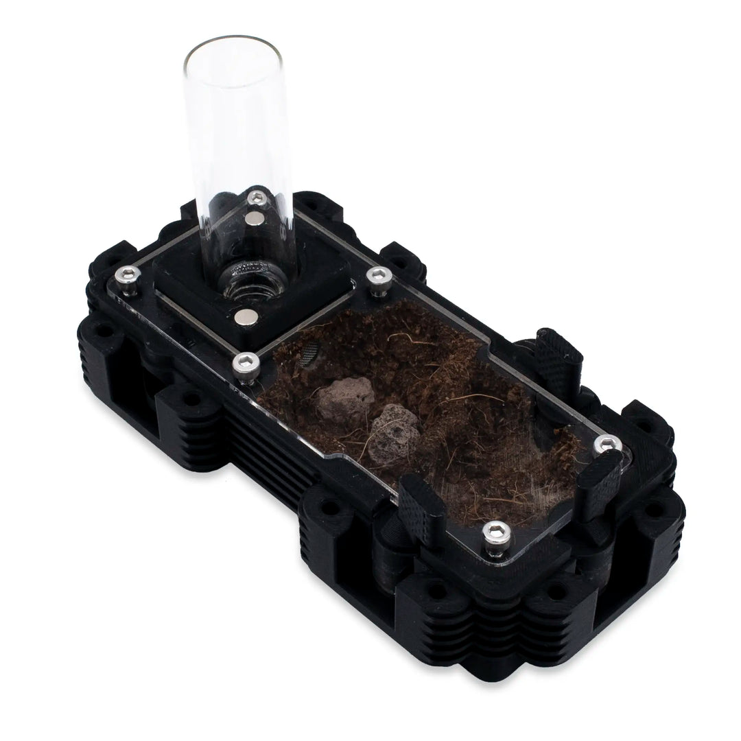 Natura Formigueiro 2:1