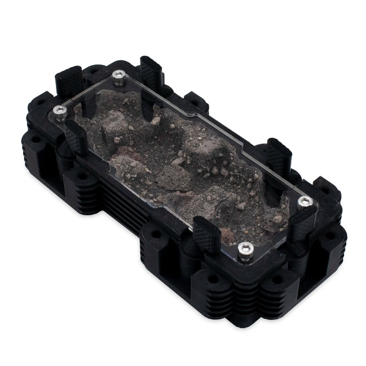 Natura Formigueiro 2:1