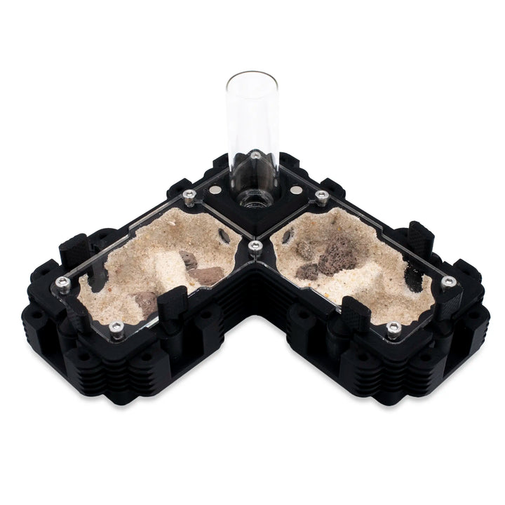 Natura Formigas Fazenda 2:1L