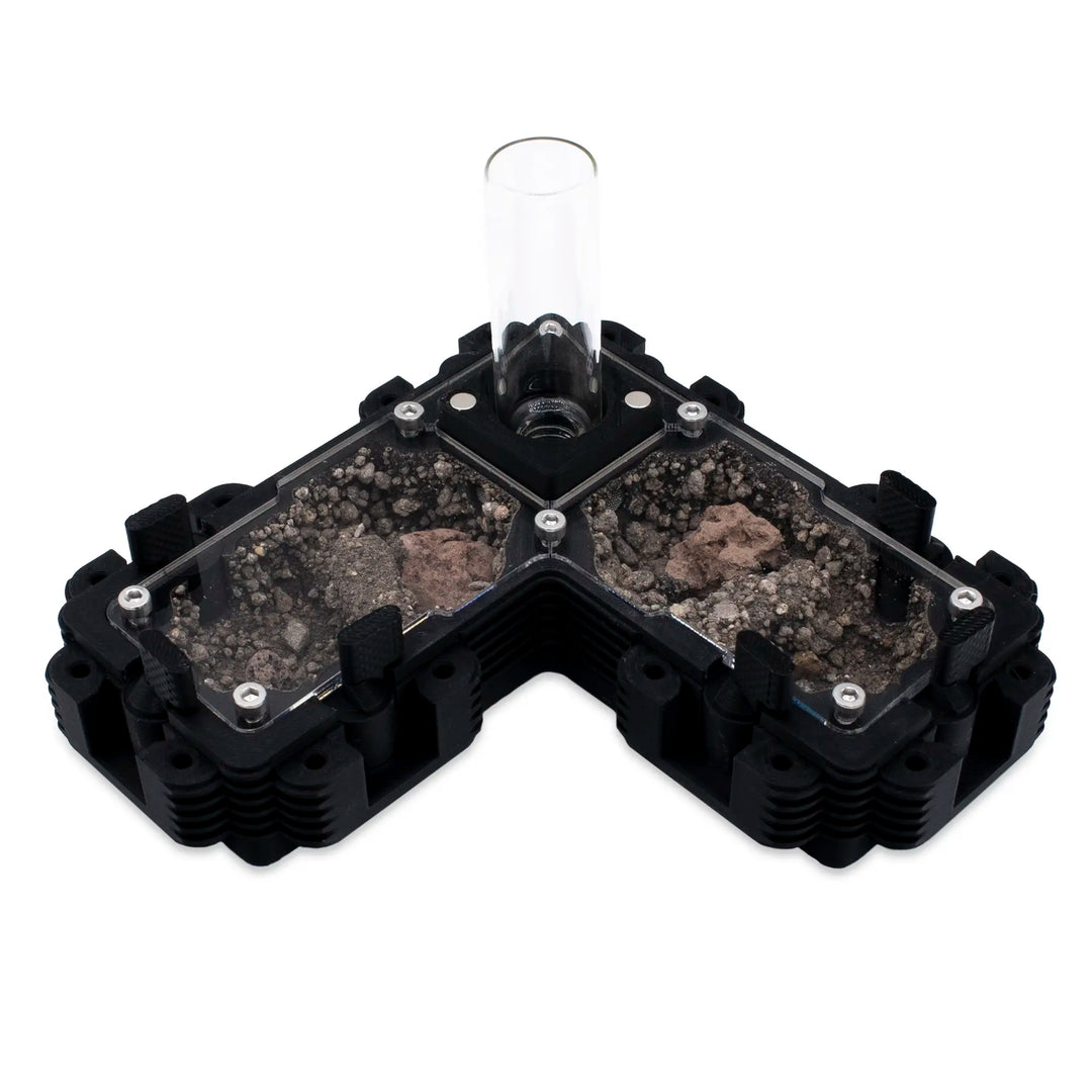 Natura Formigas Fazenda 2:1L