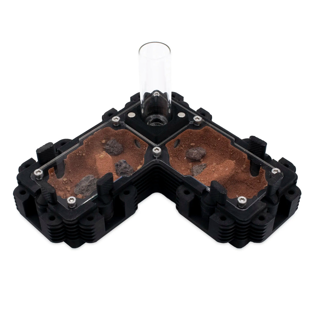 Natura Formigas Fazenda 2:1L