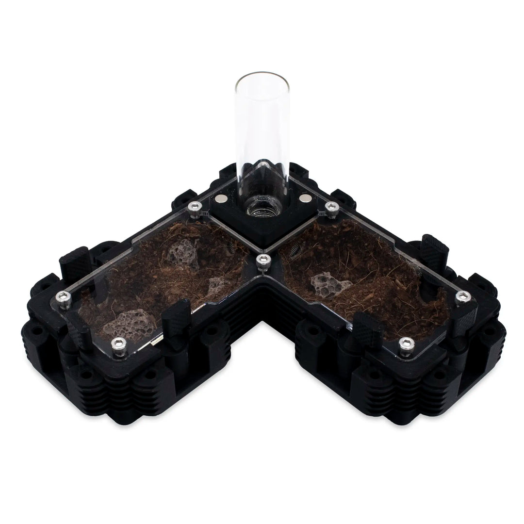 Natura Formigas Fazenda 2:1L