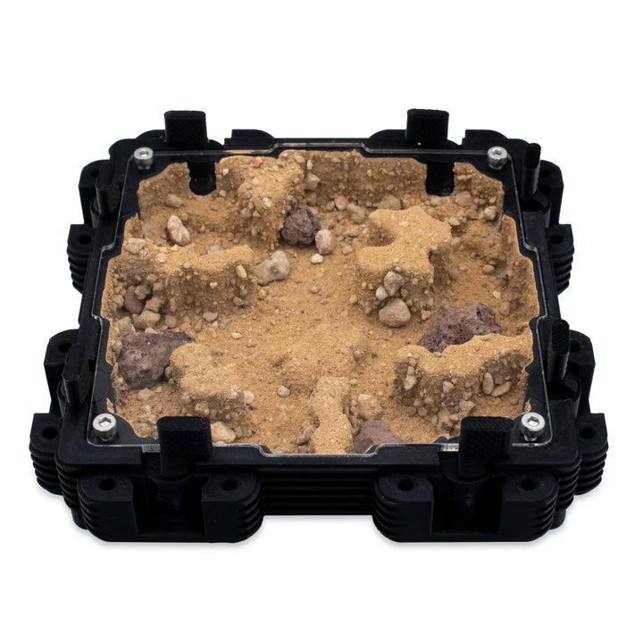 Natura Formigueiro 2:2