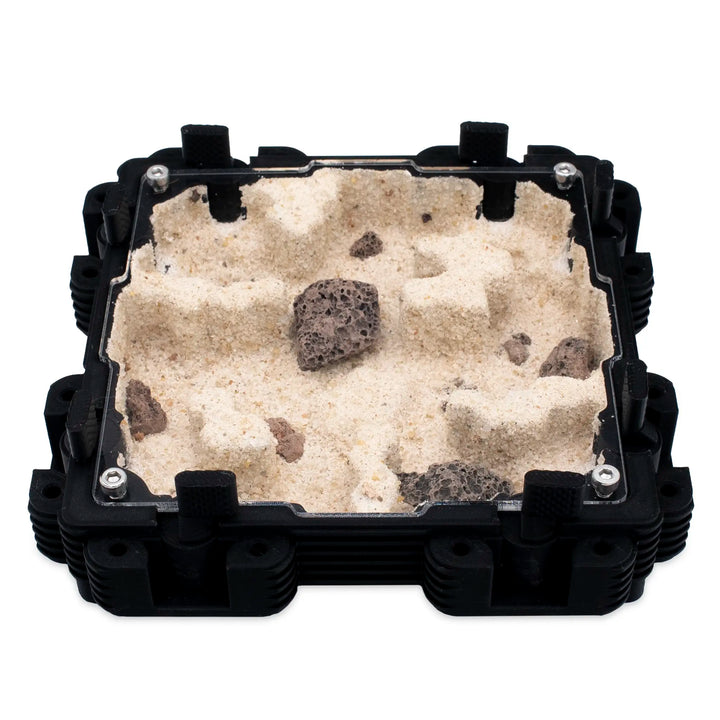 Natura Formigueiro 2:2