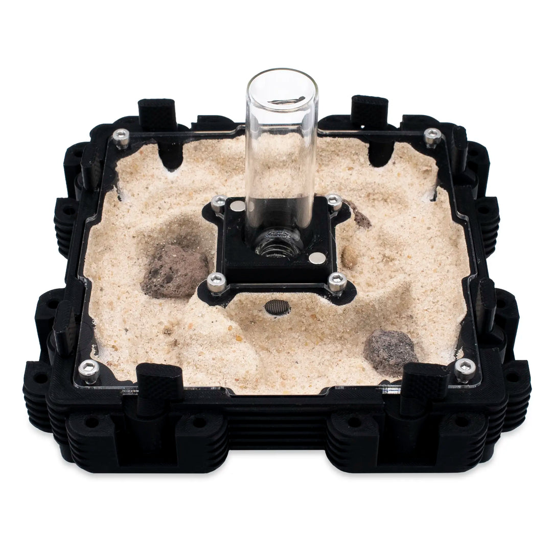 Natura Formigueiro 2:2