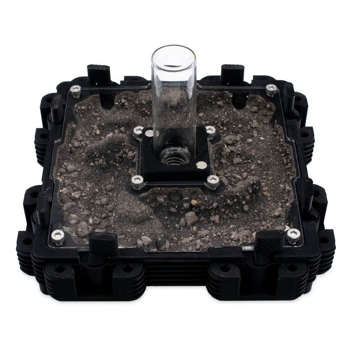 Natura Formigueiro 2:2