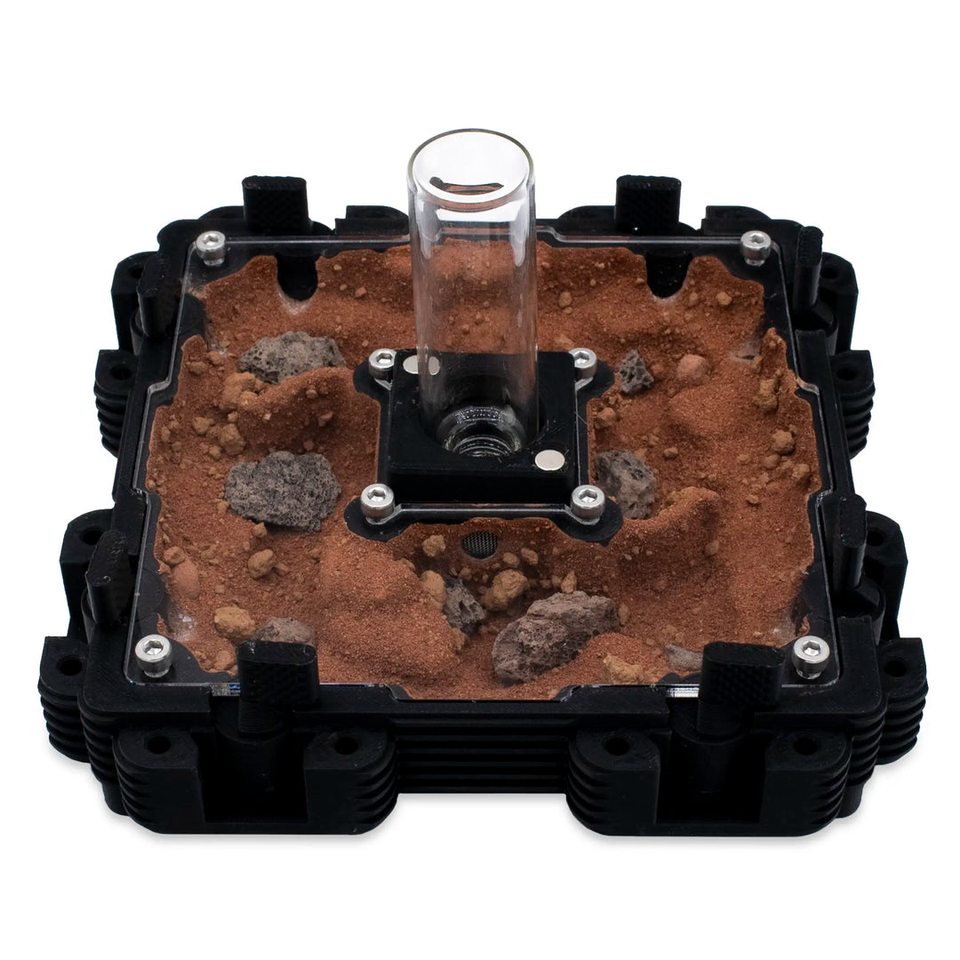 Natura Formigueiro 2:2