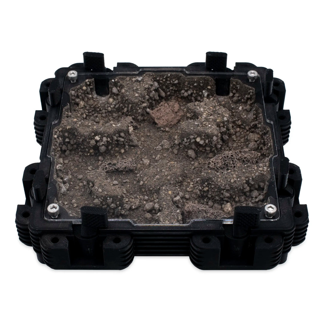 Natura Formigueiro 2:2