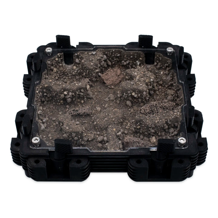 Natura Formigueiro 2:2