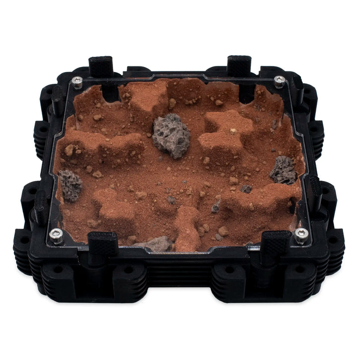 Natura Formigueiro 2:2