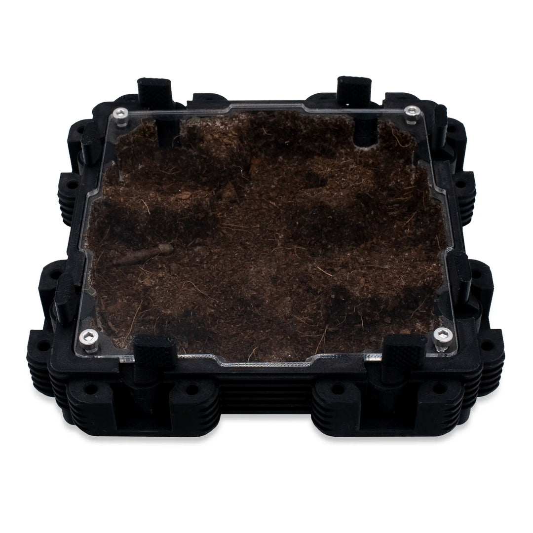 Natura Formigueiro 2:2