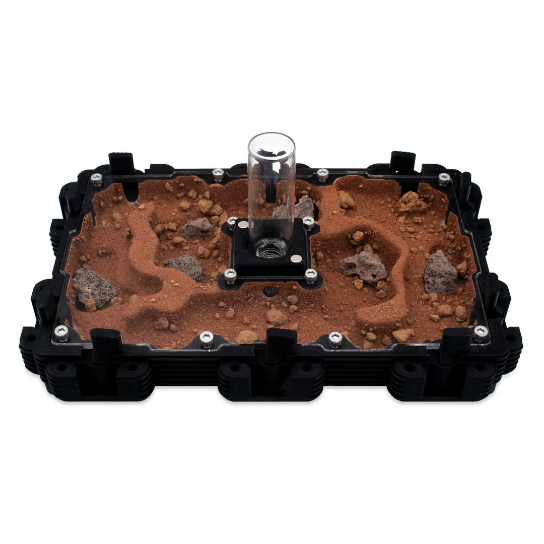 Natura Formigueiro 3:2