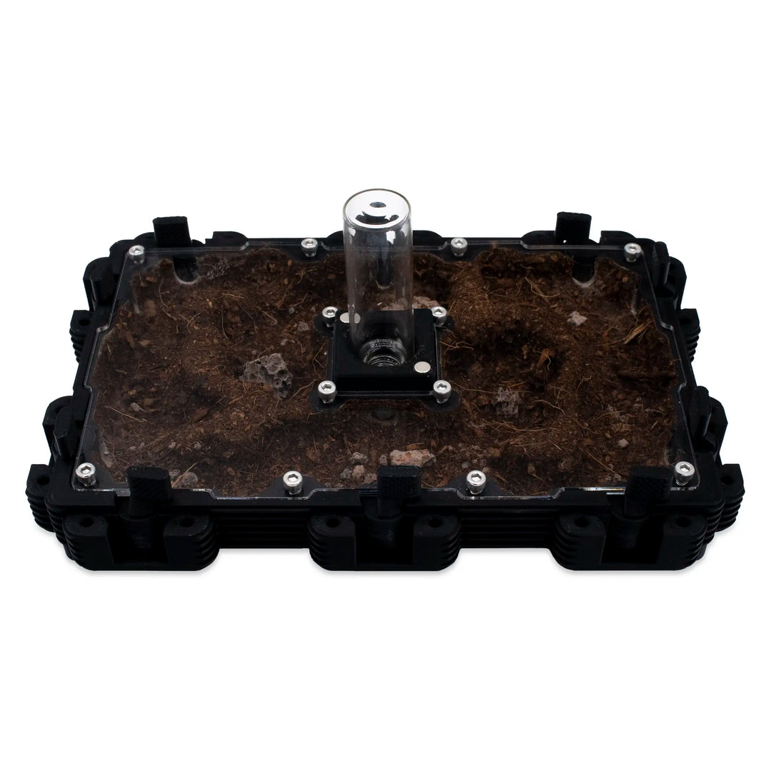 Natura Formigueiro 3:2