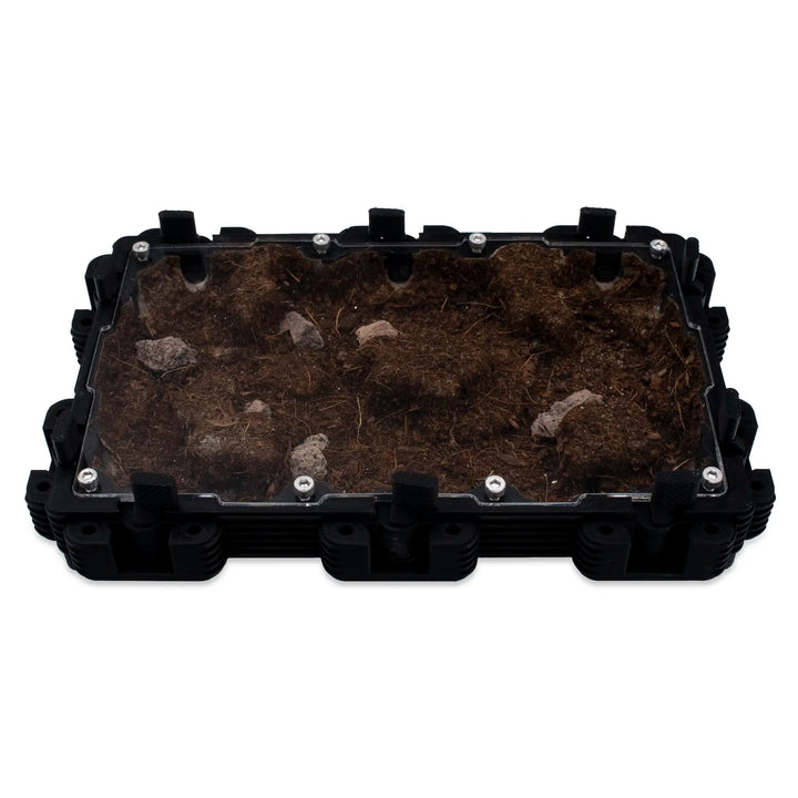 Natura Formigueiro 3:2