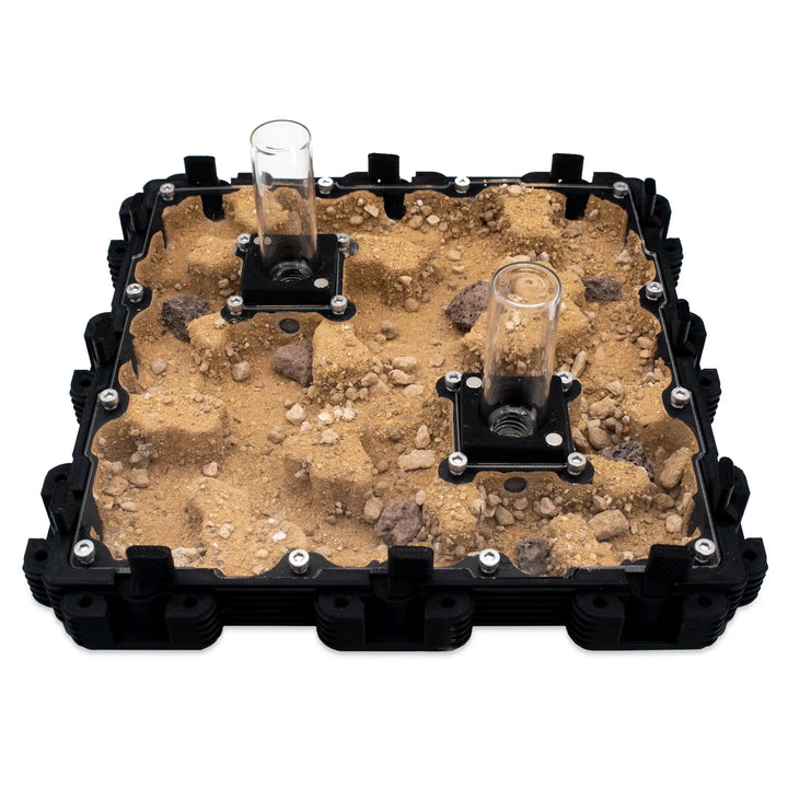 Natura Formigueiro 3:3