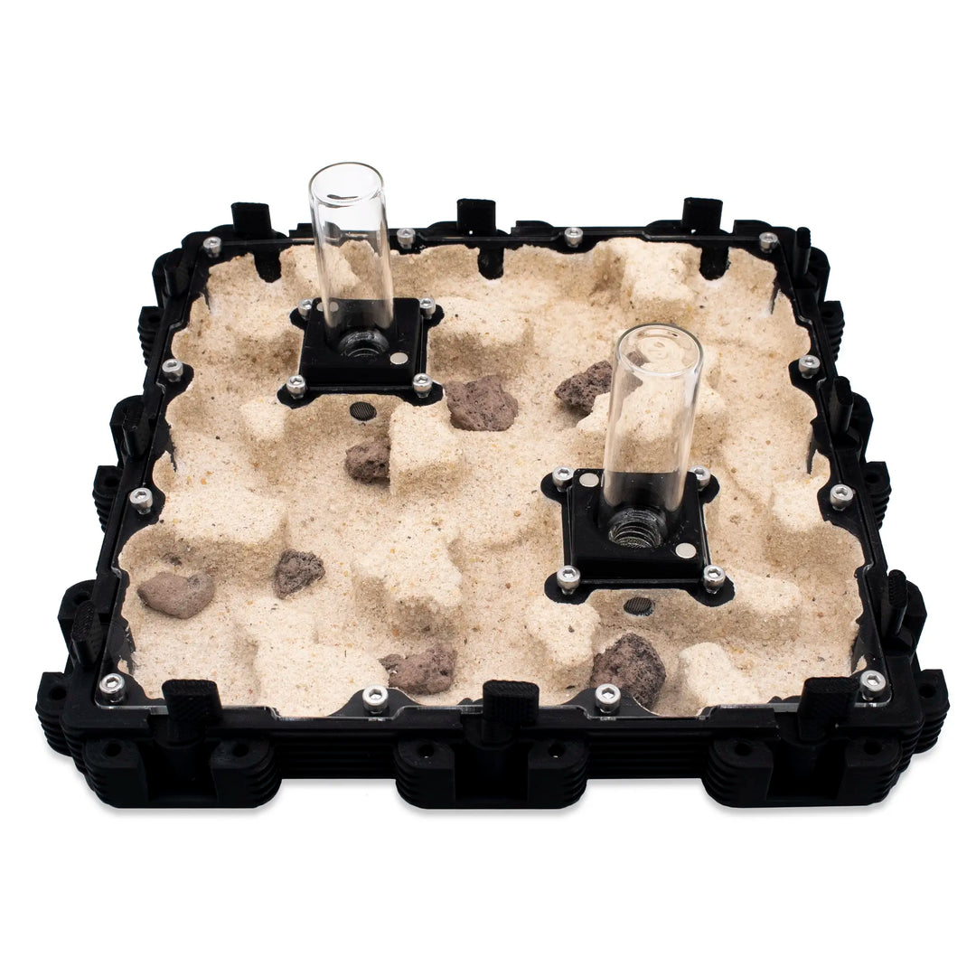 Natura Formigueiro 3:3