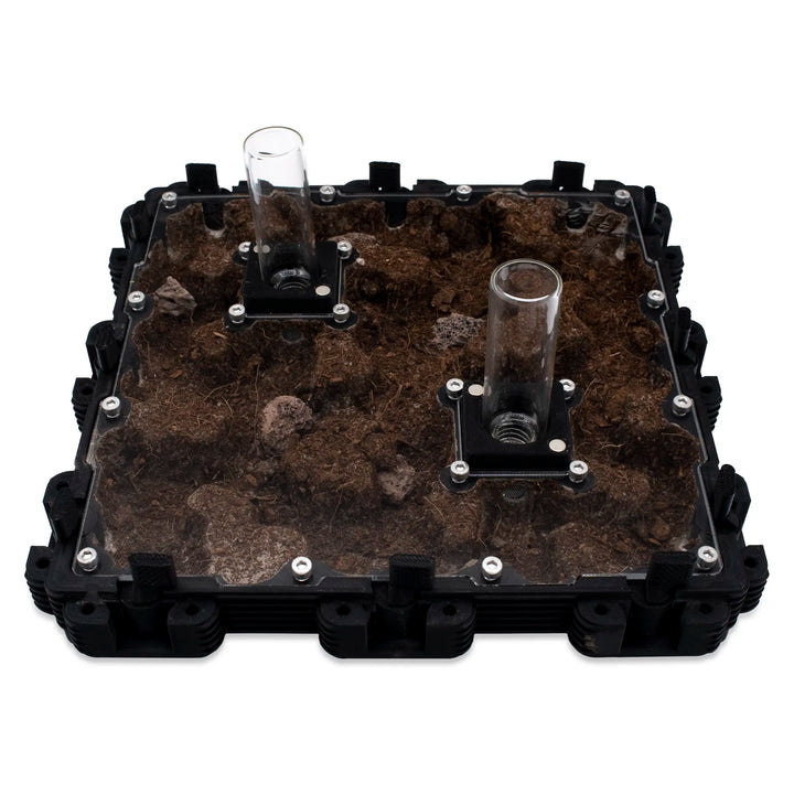 Natura Formigueiro 3:3