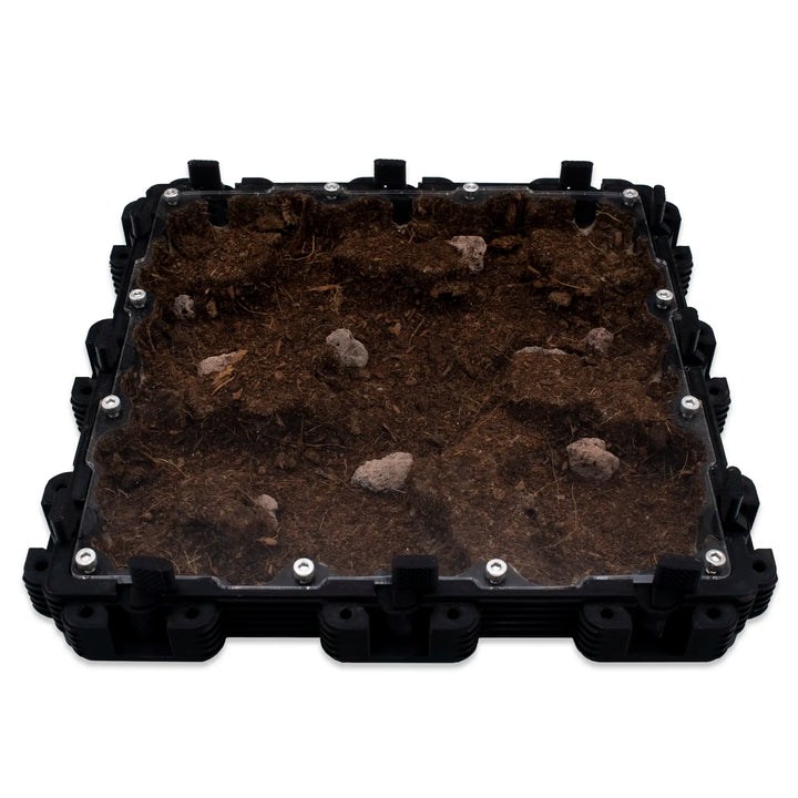 Natura Formigueiro 3:3