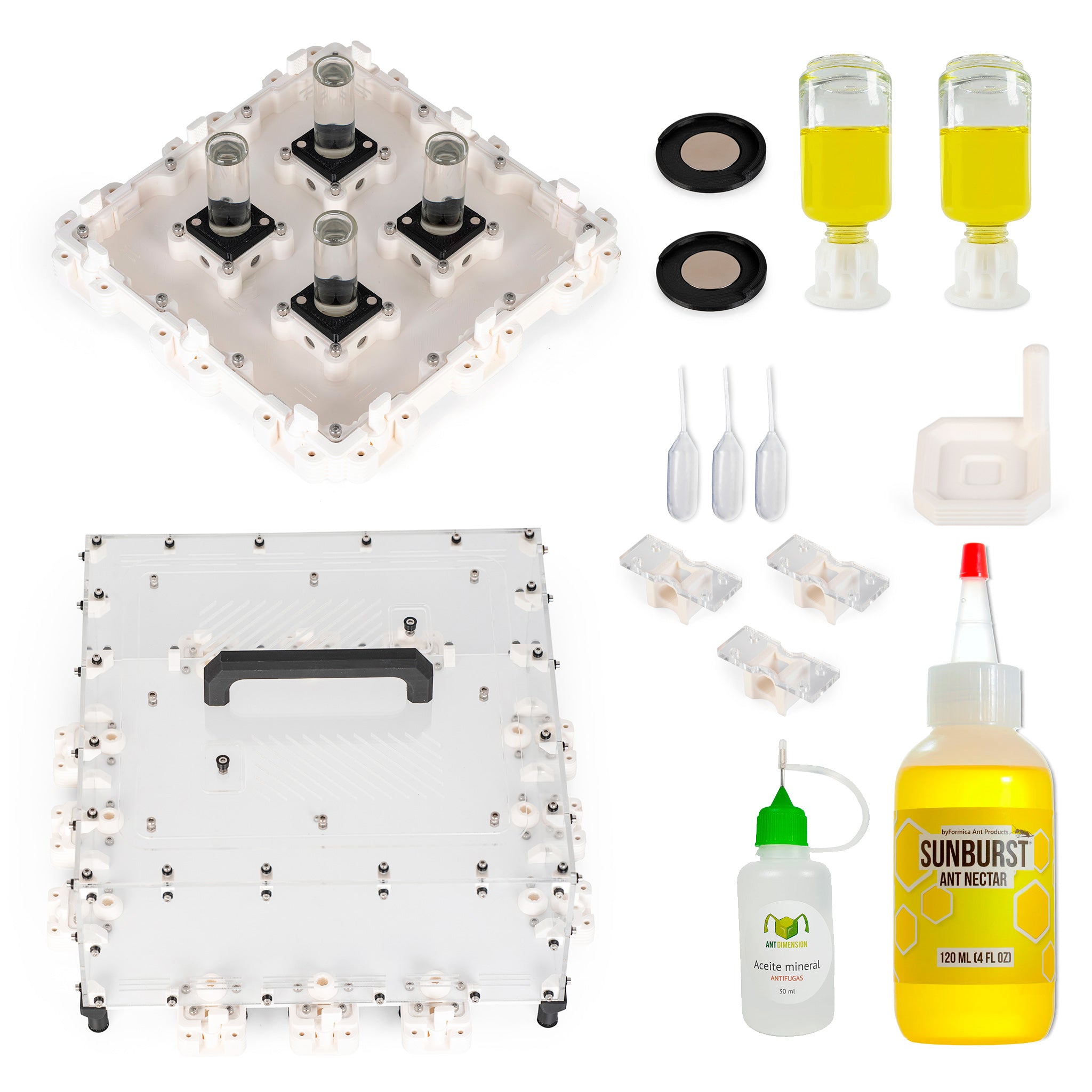 Large Kit | Ant Dimension