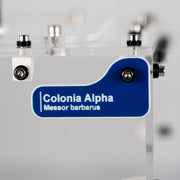 Placa Personalizada para Forrajeo MK2 - Ant Dimension