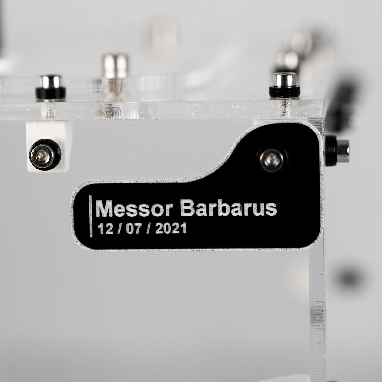 Placa Personalizada para Forrajeo MK2 - Ant Dimension
